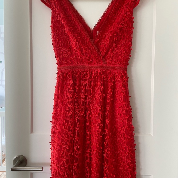 Red Reiss Lace Dress - Picture 2 of 6